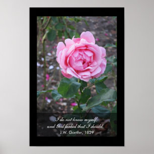 Affiche Dieu interdisent que je devrais me connaître - la