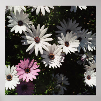 Affiche Différent et beau