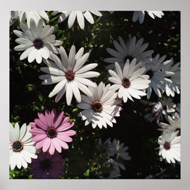 Affiche Différent et beau (Devant)