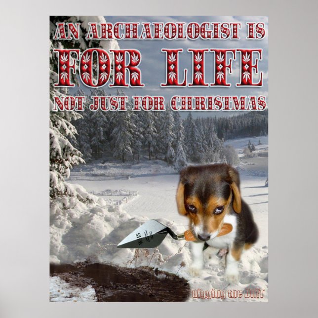 Affiche Digby ! (Devant)