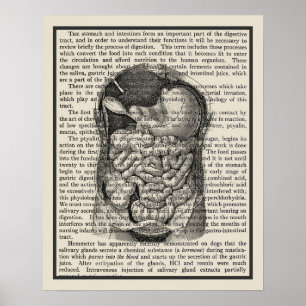 Affiche Digestive System Anatomy Art Print #1