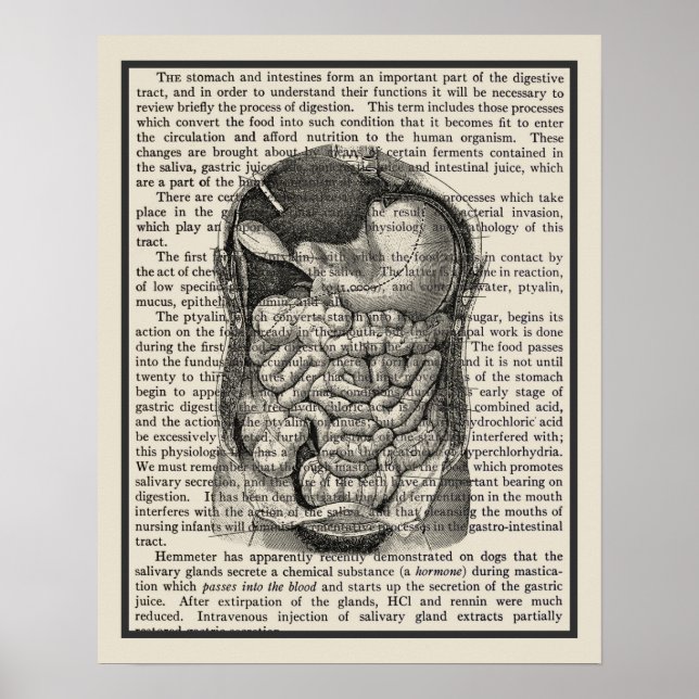 Affiche Digestive System Anatomy Art Print #1 (Devant)