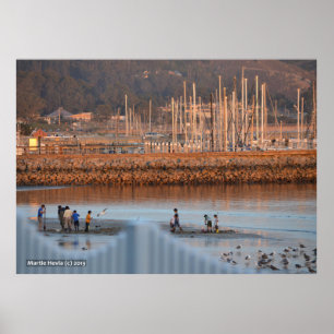 Affiche Digging for Clams