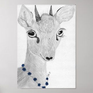 Affiche Dik- Dik
