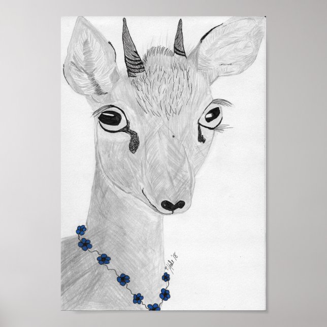 Affiche Dik- Dik (Devant)
