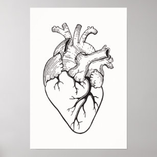 Affiche d'illustration cardiaque