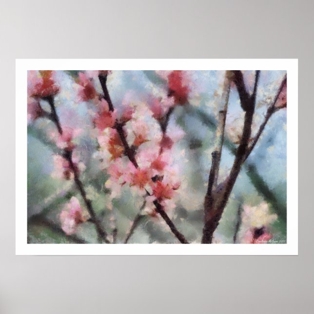 Affiche d'illustration de fleur d'arbre fruitier (Devant)