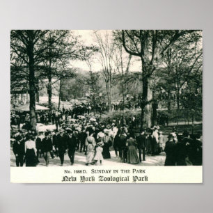 Affiche Dimanche au Bronx Zoo Vintage