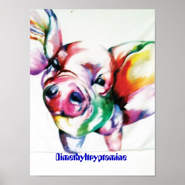 Affiche Diméthyltryptamine (Devant)
