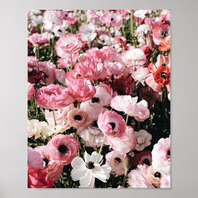 Affiche d'impression de fleurs roses et blanches (Devant)