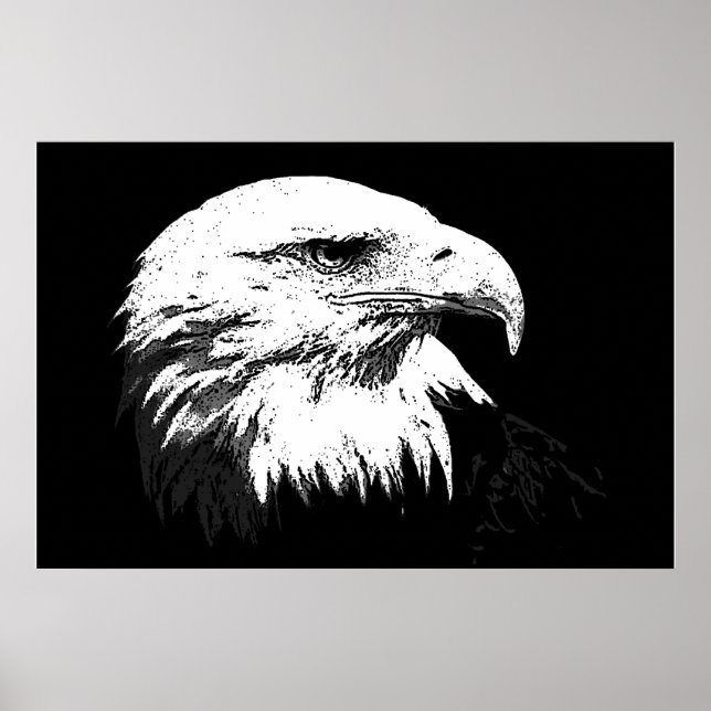 Affiche d'impression de l'aigle américain Bald Eag (Devant)