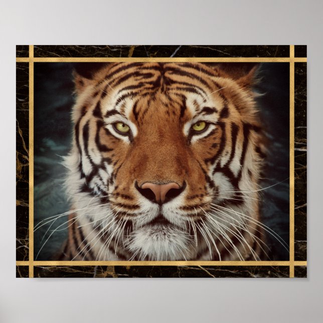 Affiche d'impression de photo du visage de tigre (Devant)