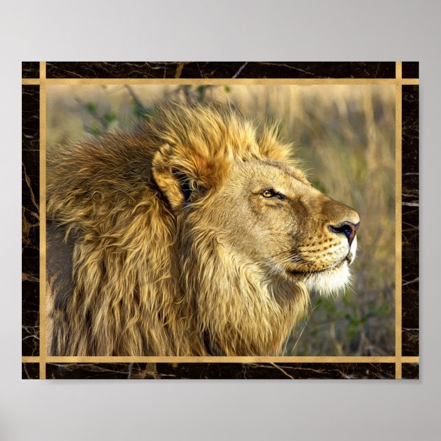 Affiche d'impression d'image photo de Lion de côté (Devant)