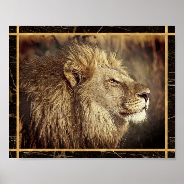 Affiche d'impression d'image photo de lion monochr (Devant)