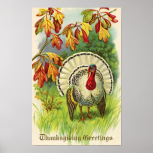 Affiche Dinde de Thanksgiving vintage