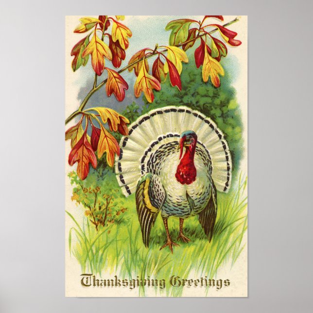 Affiche Dinde de Thanksgiving vintage (Devant)