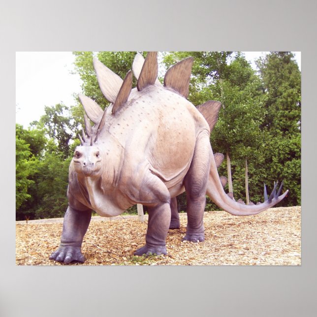 Affiche Dinosaure (Devant)