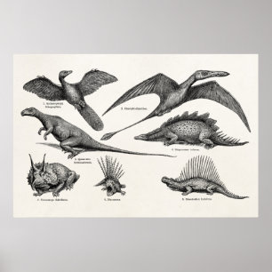 Affiche Dinosaure vintage Illustration Dinosaures rétro