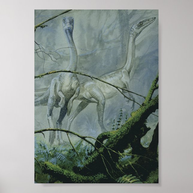 Affiche Dinosaures Vintage, Megapnosaurus alias Syntarsus (Devant)