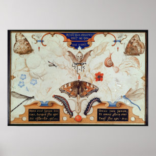 Affiche Diptyque avec fleurs et insectes, 1591