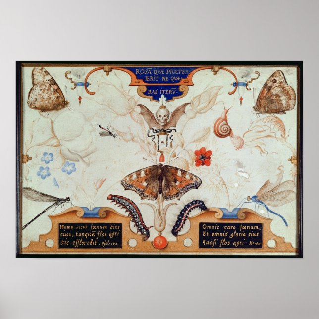 Affiche Diptyque avec fleurs et insectes, 1591 (Devant)