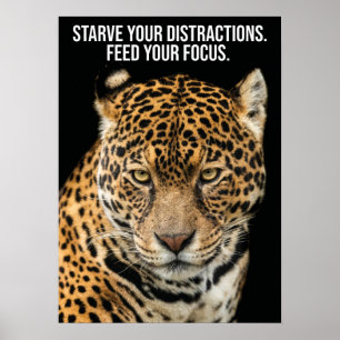 Affiche Distractions de faim, Focus alimentation - Succès 