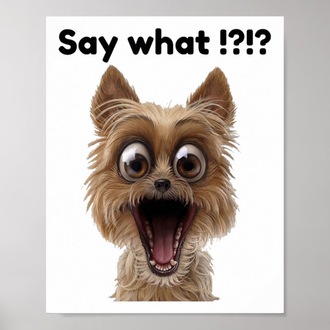 Affiche Dites Quoi !_ Plaisant Amusant Surpris Chien De Ch (Devant)