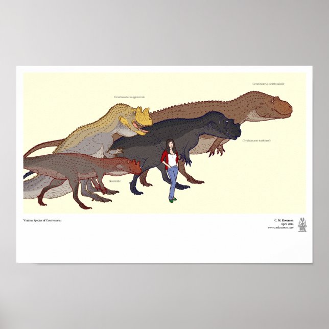 Affiche Diverses espèces de Ceratosaurus (Devant)
