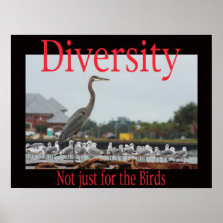 Affiche Diversité, pas seulement pour les oiseaux