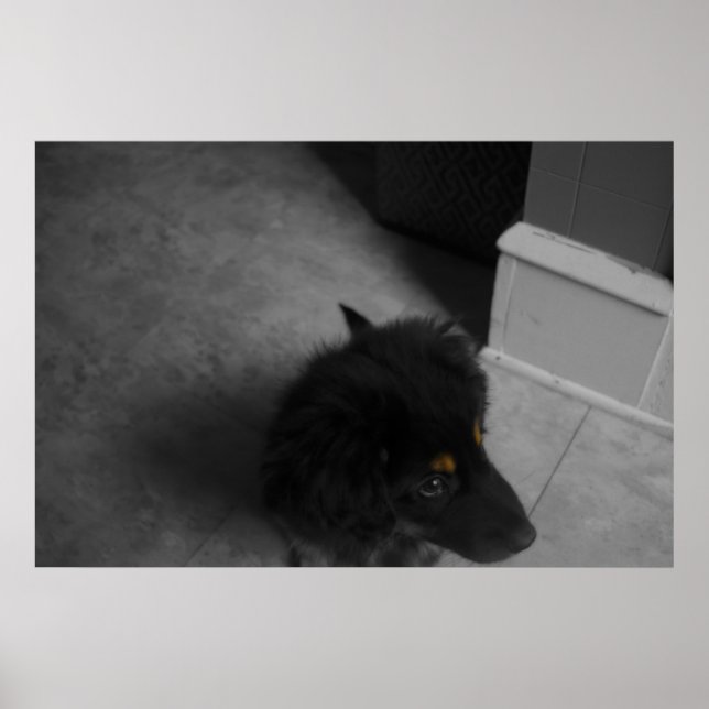 Affiche Divo B&W (Devant)