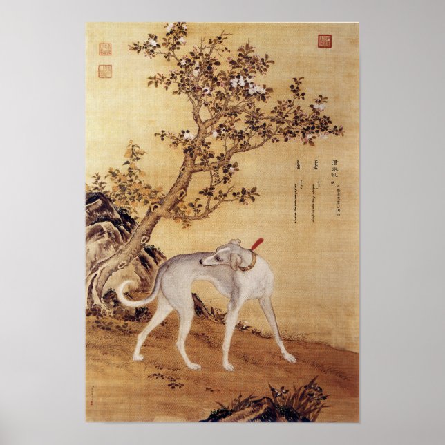 Affiche Dix Chiens primés - Cangshuiqiu(lévrier chinois) (Devant)