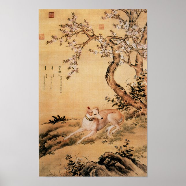 Affiche Dix Chiens primés - Loup Shanxing (lévriers chinoi (Devant)
