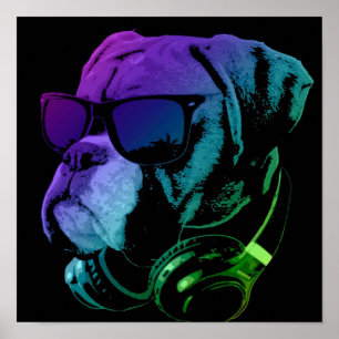 Affiche DJ Boxer Dog Wall Art   Special present