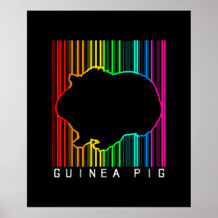 Affiche DJ Guinea Pig Techno Edm Animal Rave Star Rainbow