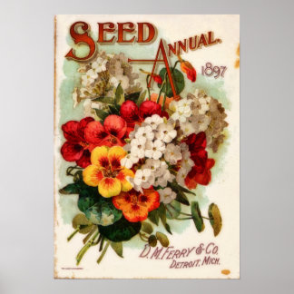 Affiche DM Ferry Catalogue Fleur Vintage Annonce