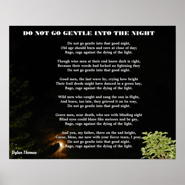 AFFICHE DO NOT GO GENTLE INTO THE NIGHT (Devant)