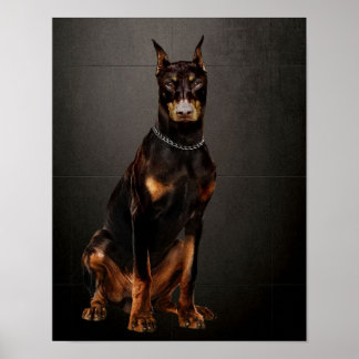 Affiche Doberman