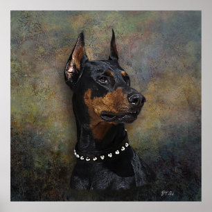 Affiche Doberman