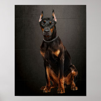 Affiche Doberman, chien de garde fiable