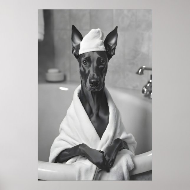 Affiche Doberman in Bathrobe, Funny Bathroom Art (Devant)