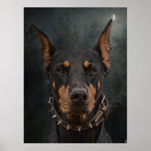 Affiche Doberman Pinscher 