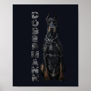 Affiche Doberman Pinscher