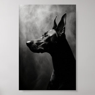 Affiche Doberman Pinscher noir et blanc