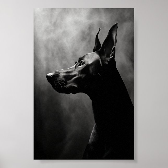Affiche Doberman Pinscher noir et blanc (Devant)