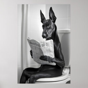 Affiche Doberman sur les toilettes, Journal, Drôle d'art d