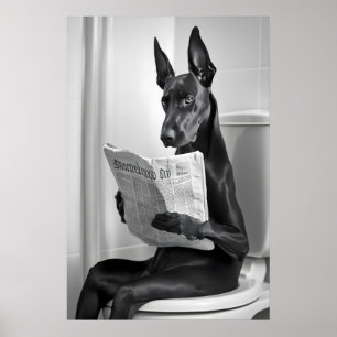 Affiche Doberman sur les toilettes, Journal, Drôle d'art d