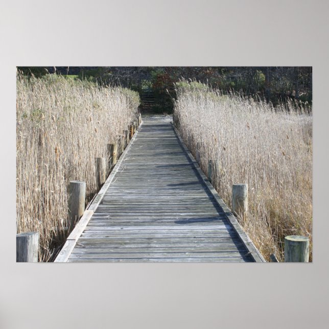 Affiche Dock (Devant)