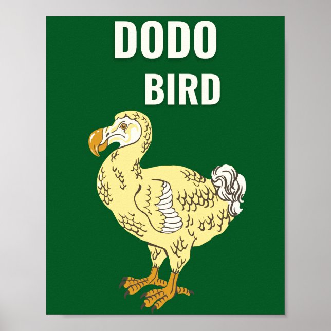 Affiche Dodo (Devant)