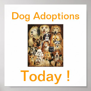 Affiche Dog Adoptions Today Signs