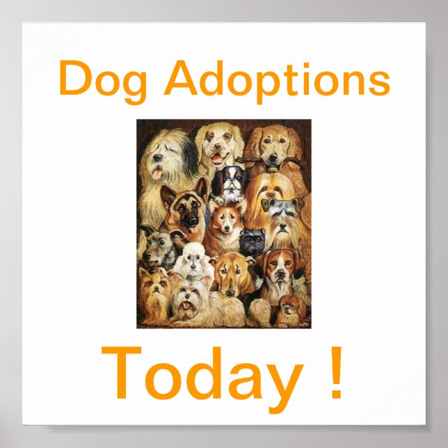 Affiche Dog Adoptions Today Signs (Devant)